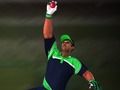 თამაში Cricket Fielder გამოწვევა  ონლაინ