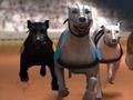 თამაში Greyhound Racing ონლაინ