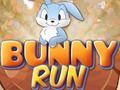თამაში Bunny Run ონლაინ