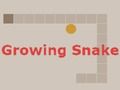 თამაში იზრდება Snake  ონლაინ