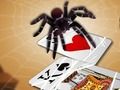 თამაში Jumping spider ონლაინ