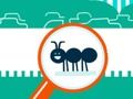 თამაში Squashy Bug ონლაინ