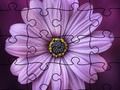 თამაში Jigsaw Puzzle საზაფხულო  ონლაინ