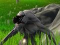 თამაში Monster თავდაცვის  ონლაინ
