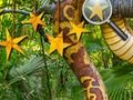 თამაში Jungle დამალული ვარსკვლავები  ონლაინ