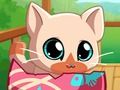 თამაში ჩემი ჯიბის Pets Kitty Cat  ონლაინ