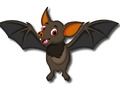 თამაში Cute Bat მეხსიერება  ონლაინ