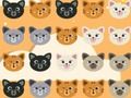 თამაში Cute Kitty მატჩი 3  ონლაინ