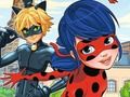 თამაში განსხვავებები LadyBug  ონლაინ