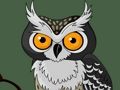 თამაში საყვარელი Owl მეხსიერება  ონლაინ