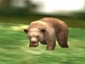 თამაში Safari Animal Hunter ონლაინ