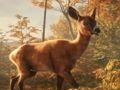 თამაში Safari Jeep Car Parking Sim: Jungle Adventure ონლაინ