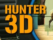 თამაში Hunter 3D ონლაინ