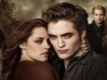 თამაში Twilight Jigsaw Puzzle კოლექცია  ონლაინ