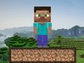 თამაში Minecraft Survival  ონლაინ