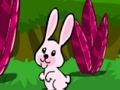 თამაში ონლაინ თამაში Hopping Rabbit Escape  ონლაინ