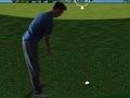 თამაში Flash Golf 3D  ონლაინ