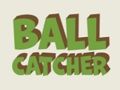 თამაში ონლაინ თამაში Ball Catcher  ონლაინ