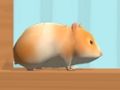 თამაში Hamster Maze ონლაინ  ონლაინ