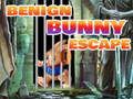 თამაში კეთილთვისებიანი Bunny Escape  ონლაინ