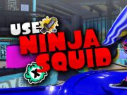 თამაში Squid ninja ონლაინ