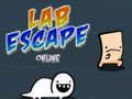 თამაში Lab Escape ონლაინ  ონლაინ