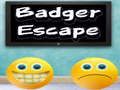 თამაში Badger გაქცევა ონლაინ