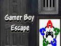 თამაში Gamer boy გაქცევა ონლაინ