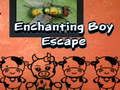 თამაში Enchanting Boy გაქცევა ონლაინ