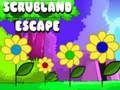 თამაში Scrubland გაქცევა ონლაინ