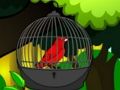 თამაში გადარჩენა Cage Bird  ონლაინ