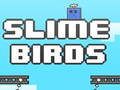 თამაში Slime ჩიტები ონლაინ