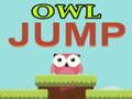 თამაში Owl ნახტომი ონლაინ