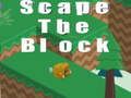 თამაში Scape ბლოკი  ონლაინ