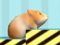 თამაში Hamster დასადასტურებლად  ონლაინ