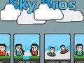 თამაში Sky Bros ონლაინ