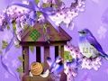 თამაში მშვენიერი Humming Bird Land Escape  ონლაინ