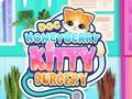 თამაში Doc Honeyberry Kitty ოპერაცია ონლაინ