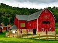 თამაში მადლიერების Rustic Farm Escape  ონლაინ