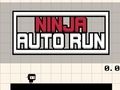 თამაში Ninja Auto Run ონლაინ