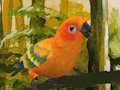 თამაში საყვარელი Budgie Puzzle ონლაინ