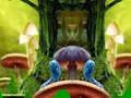 თამაში Fantasy Peacock Family Escape ონლაინ