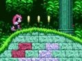 თამაში Mighty & Ray Sonic 2-ში  ონლაინ