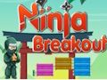 თამაში Ninja Breakout ონლაინ