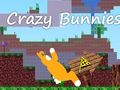 თამაში გიჟი bunnies ონლაინ
