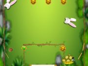 თამაში Bunny მიზანი  ონლაინ