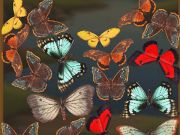 თამაში Mergebuterfly: 2048! ონლაინ
