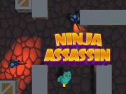 თამაში Ninja Assassin ონლაინ
