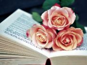 თამაში Blooms Jigsaw ონლაინ