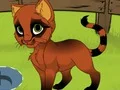თამაში My Kitten ონლაინ